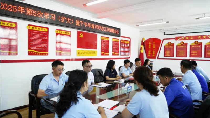 汽貿(mào)公司黨支部對學(xué)習(xí)教育“回頭看”工作再檢查再部署再推動