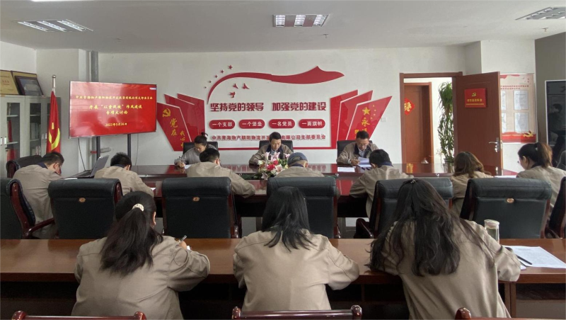 以案促改轉(zhuǎn)作風(fēng) 堅(jiān)守底線樹新風(fēng)   ——青海物產(chǎn)朝陽(yáng)物流開(kāi)發(fā)投資有限公司支部委員會(huì)開(kāi)展“以案促改”作風(fēng)建設(shè)專項(xiàng)大討論