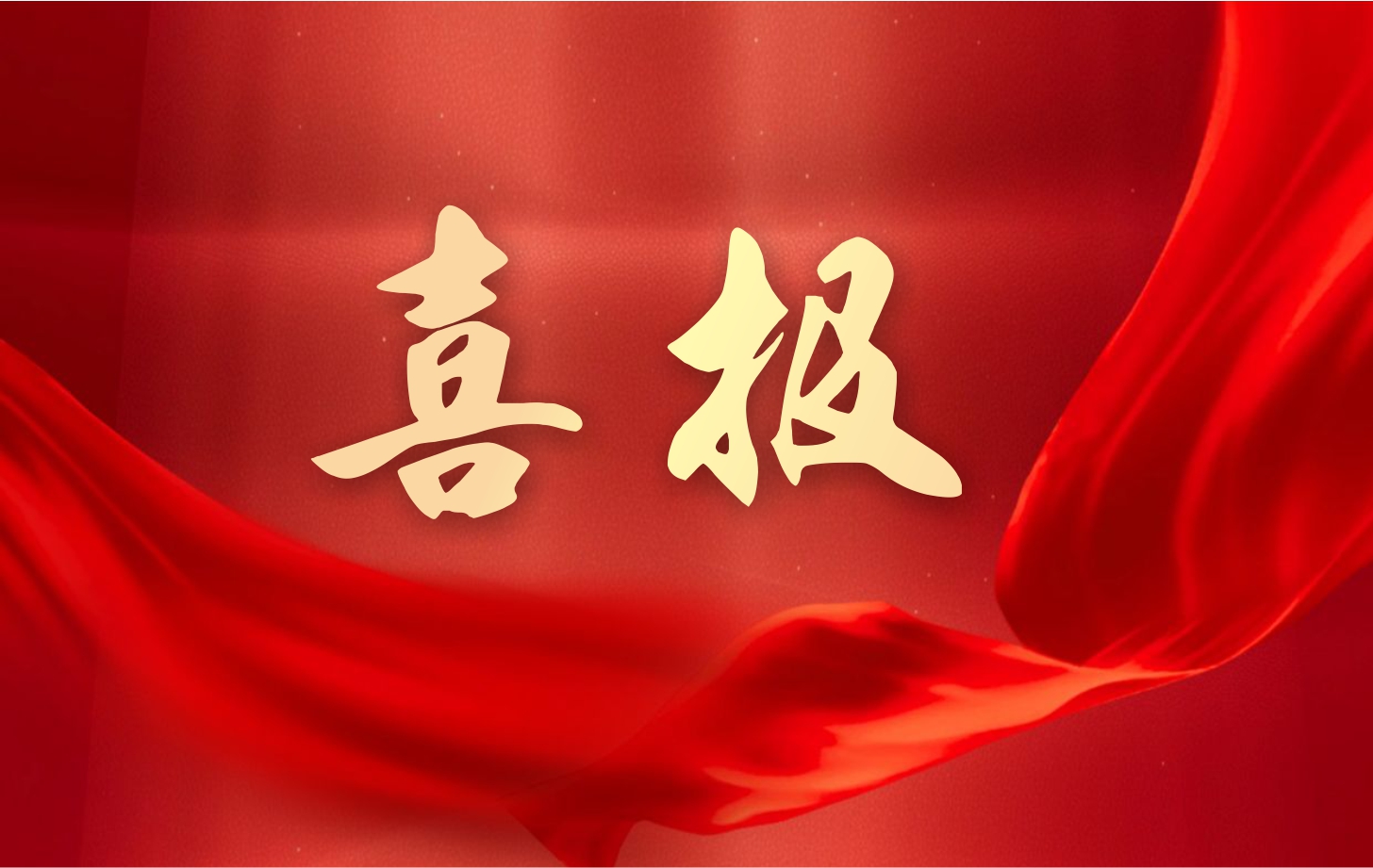 營(yíng)收凈利雙增長(zhǎng)！依頓電子2025年一季度經(jīng)營(yíng)業(yè)績(jī)續(xù)寫高質(zhì)量發(fā)展華章